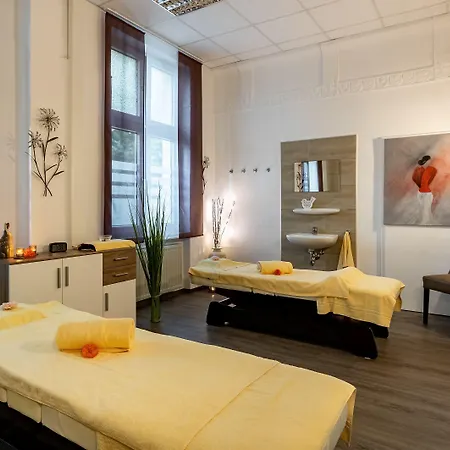 Badehof 호텔 바트살츠흘리르프